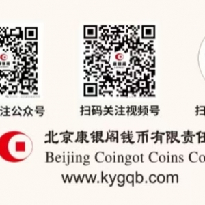 康银阁公司是个什么样的公司？